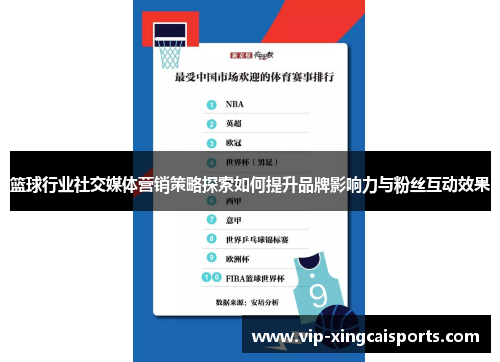 篮球行业社交媒体营销策略探索如何提升品牌影响力与粉丝互动效果
