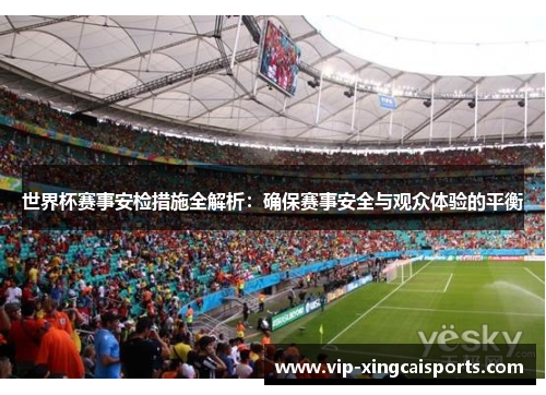 世界杯赛事安检措施全解析：确保赛事安全与观众体验的平衡