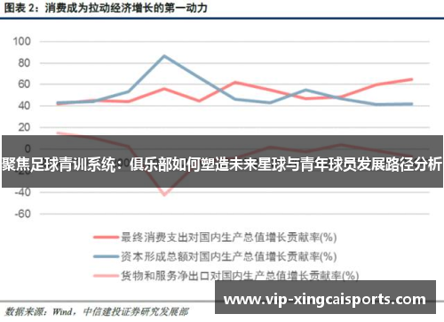 聚焦足球青训系统：俱乐部如何塑造未来星球与青年球员发展路径分析