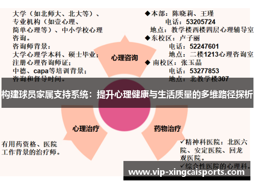 构建球员家属支持系统：提升心理健康与生活质量的多维路径探析