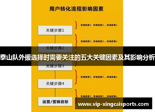 泰山队外援选择时需要关注的五大关键因素及其影响分析