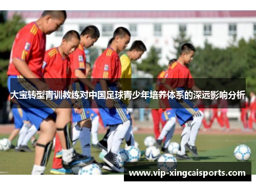 大宝转型青训教练对中国足球青少年培养体系的深远影响分析