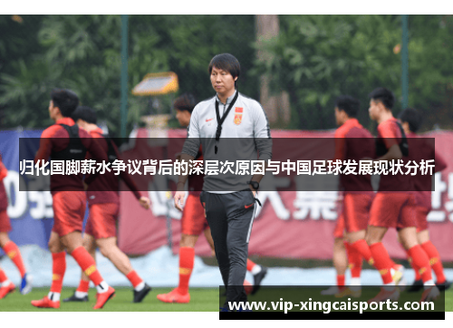 归化国脚薪水争议背后的深层次原因与中国足球发展现状分析