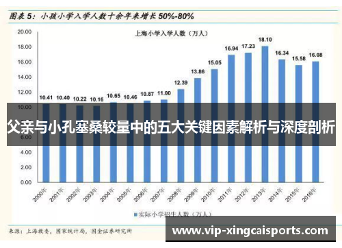 父亲与小孔塞桑较量中的五大关键因素解析与深度剖析
