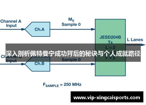 深入剖析佩特曼宁成功背后的秘诀与个人成就路径