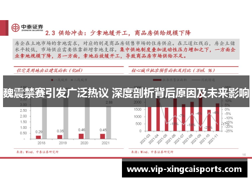 魏震禁赛引发广泛热议 深度剖析背后原因及未来影响